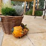 Quality Wellness Βίλα